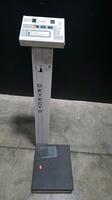 DETECTO DIGITAL PATIENT SCALE