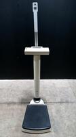 SECA DIGITAL PATIENT SCALE