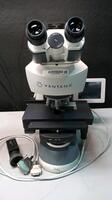 VENTANA AXIO LAB MICROSCOPE WITH EYEPIECES BOTH (10X/23) & OBJECTIVES (40, 20, 10, 5)