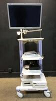 OLYMPUS ENDOSCOPY CART WITH OEV261H MONITOR
