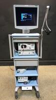 BOSTON SCIENTIFIC ENDOSCOPY SYSTEM TO INCLUDE SPYGLASS CAMERA CONTROL UNIT, LIGHT SOURCE, IRRIGATION PUMP & SONY MONITOR