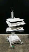 COMPUTER CART