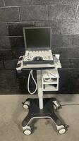 GE LOGIQ E PORTABLE ULTRASOUND W/PROBE (L4-12T)