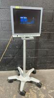 OLYMPUS OEV191H ENDOSCOPY MONITOR