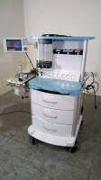 PENLON PRIMA SP2 ANESTHESIA MACHINE (SW 1.89.01)(SN SP20705 08)