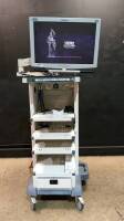 KARL STORZ ENDOSCOPY CART WITH WIDEVIEW HD MONITOR