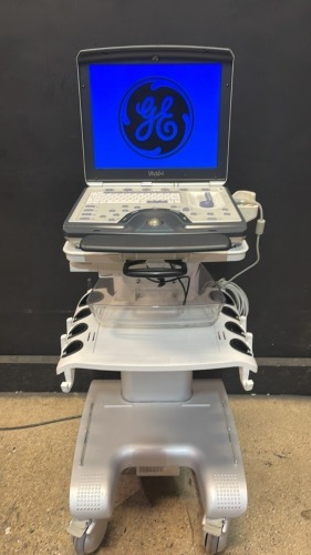 GE VIVID-I PORTABLE ULTRASOUND MACHINE (SERIAL# 050453VI) (DOM: 1/2013)