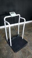 RICE LAKE DIGITAL PATIENT SCALE