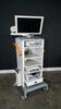 SMITH & NEPHEW ENDO CART WITH MONITOR, SMITH AND NEWPHEW 560P CAMERA SYSTEM, 500 XL LIGHT SOURCE, POWER II CONTROL SYSTEM WITH FOOTSW