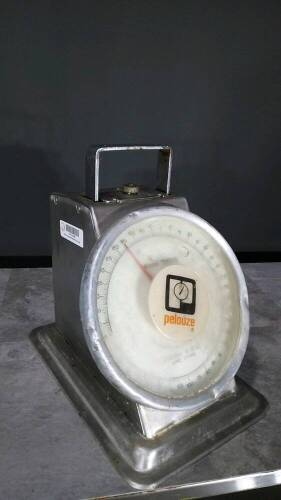 PELOUZE 10200S SCALE