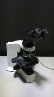 OLYMPUS BX41 LAB MICROSCOPE WITH 5 OBJECTIVES (10X/0.25, 4X/0.10, 40X/0.65, 50X/0.90, 100X/1.25)