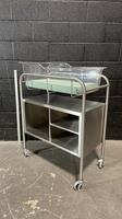 PEDICRAFT SS BASSINET