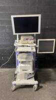 OLYMPUS ENDOSCOPY CART WITH OLYMPUS UHI-3 INSUFFLATION UNIT, SONY LMD-2450MD MONITOR, SONY UP-DR80MD PRINTER