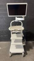 OLYMPUS ENDOSCOPY CART WITH OEV262H MONITOR