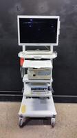 OLYMPUS ENDOSCOPY SYSTEM TO INCLUDE VISERA PRO OTV-S7PRO CAMERA CONTROL UNIT, CLV-S40PRO LIGHT SOURCE, OEP-5 PRINTER & OEV261H MONITOR ON CART