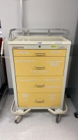 ARMSTRONG MEDICAL CART SYSTEM