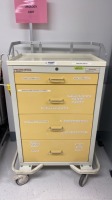 ARMSTRONG MEDICAL CART SYSTEM