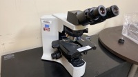 OLYMPUS BX41 MICROSCOPE, WH10X-H/22, WH10X/22 EYEPIECE