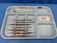 DENTAL PROPHY INSTRUMENT TRAY