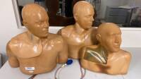 BLUE PANTOM LOT OF ULTRASOUND TRAINING SIMULATORS