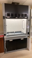 THERMO SCIENTIFIC HAMILTON SAFEAIRE II BIOLOGICAL SAFETY CABINET