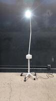RITTER 253 EXAM LIGHT