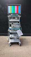 OLYMPUS ENDOSCOPY SYSTEM TO INCLUDE EVIS EXERA CV-180 VIDEO PROCESSOR, CLV-180 LIGHT SOURCE, UCR INSIFFLATOR, OEP-4 PRINTER & SONY MONITOR ON CART