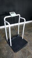 RICE LAKE DIGITAL PATIENT SCALE