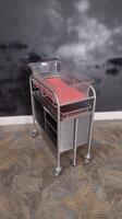 PEDICRAFT SS BASSINET