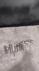 LOT OF DRILL ATTACHEMENTS