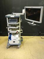 KARL STORZ 26430520 ELECTRONIC ENDOFLATOR WITH SONY UP-DR80MD PRINTER & WIDEVIEW MONITOR ON CART