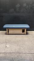 EARTHLITE MASSAGE TABLE